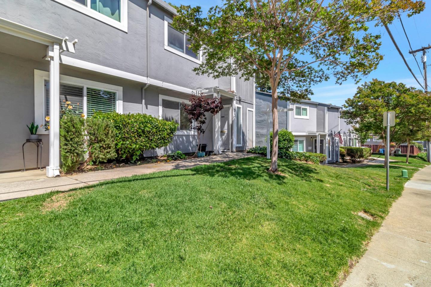 a front view of a house with a yard and trees