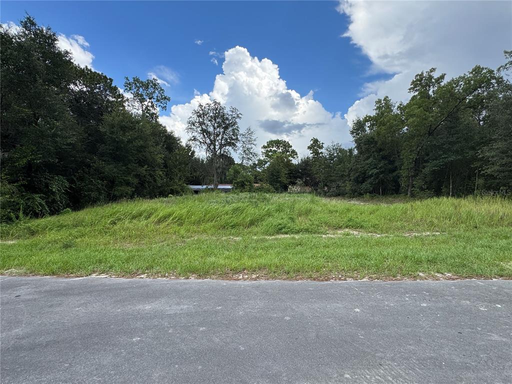 7 Spring Track Ocala, FL 34472 - Photo 1 of 1 a view of a golf course with green space