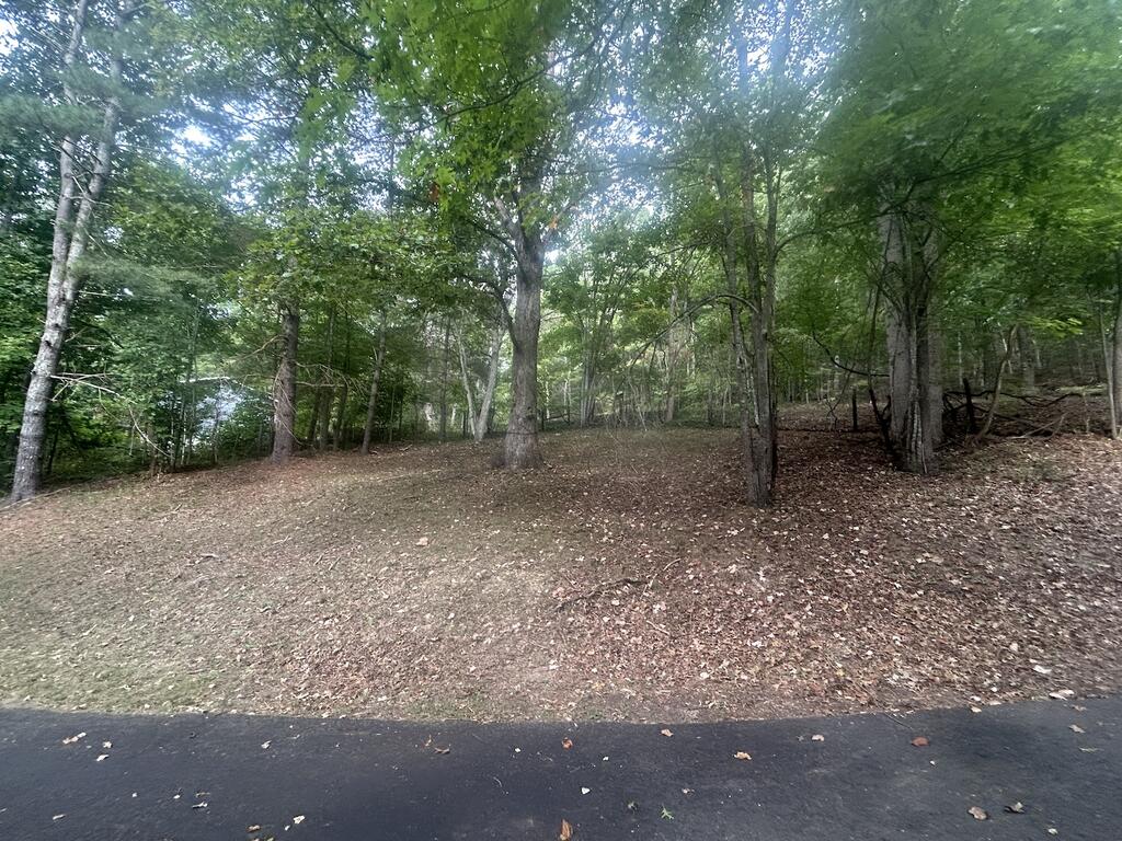 181 Slide Mountain Road Bland, VA 24315 - Photo 27 of 35 Gallery Image 27