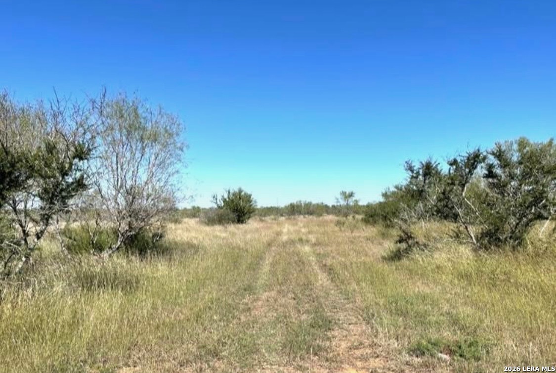 3968 Bluntzer Road Jourdanton, TX 78026 - Photo 7 of 39