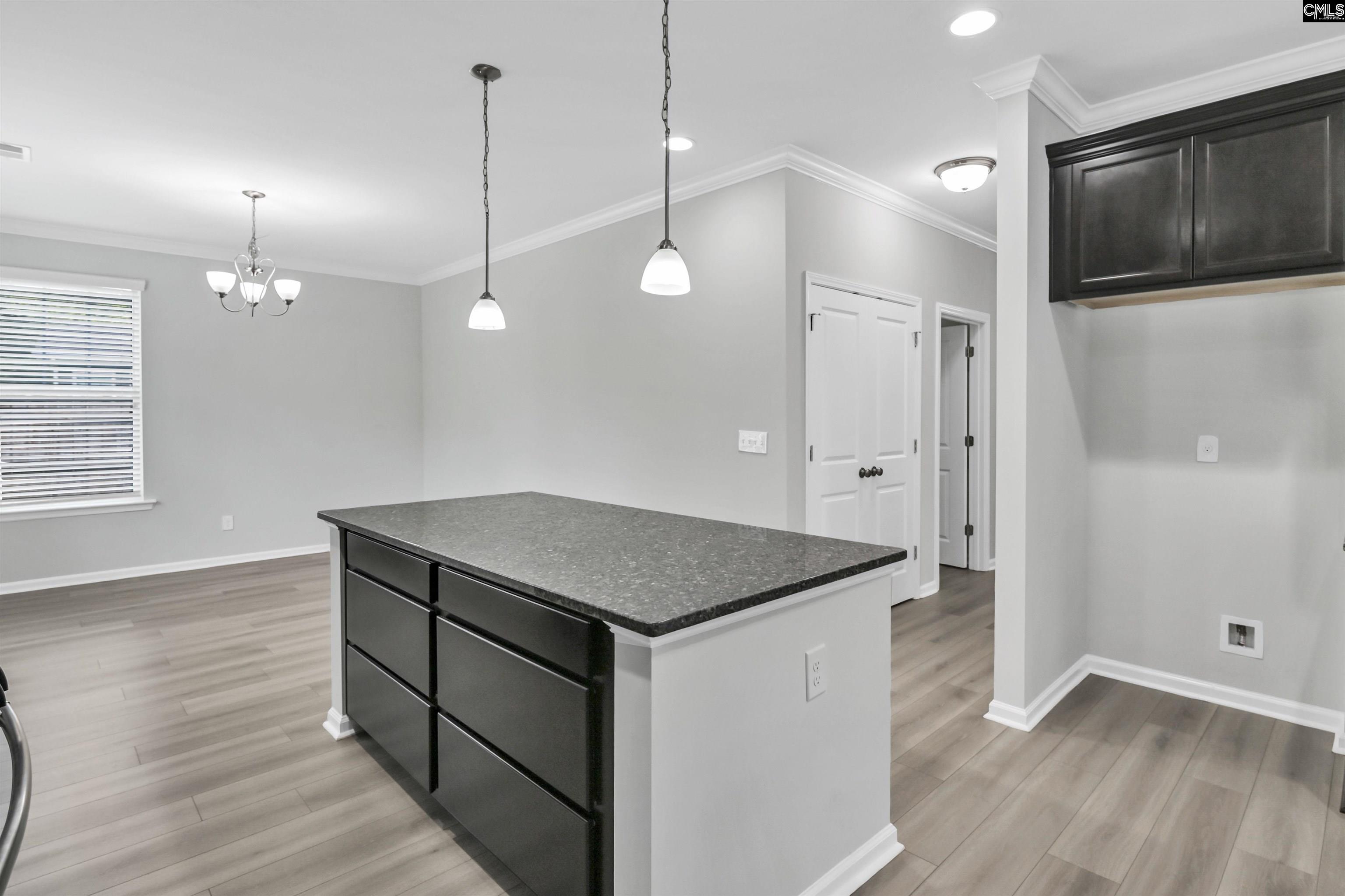 409 Crawley Lane Chapin, SC 29036 - Photo 20 of 50