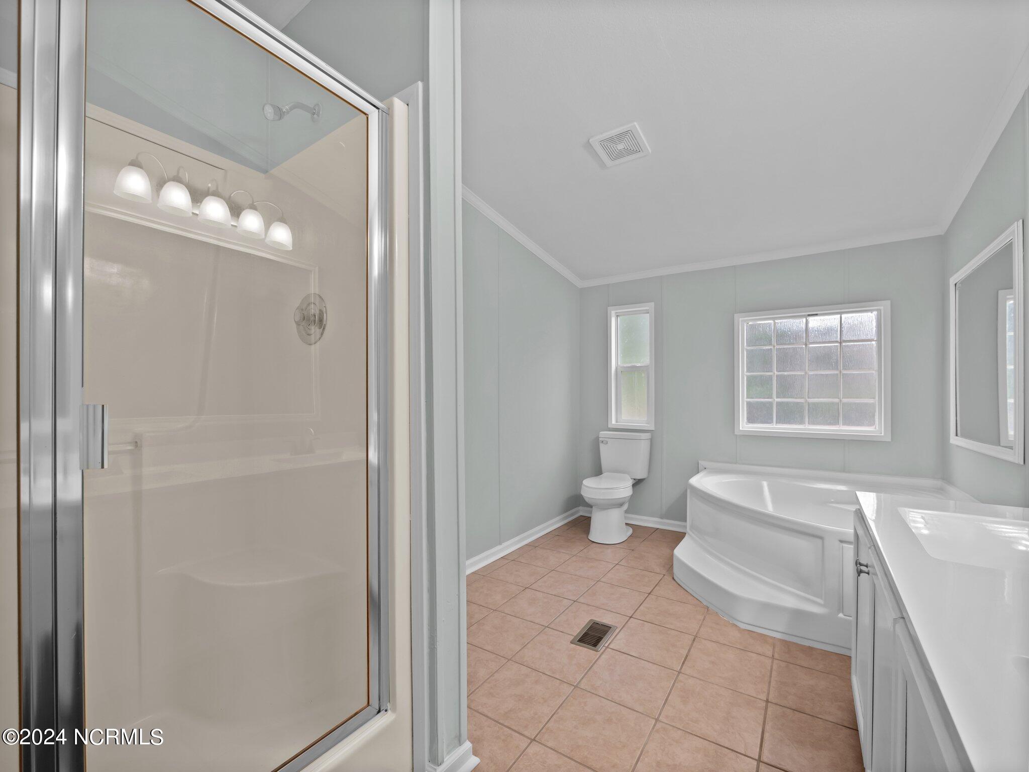 580 Haw Branch Road Richlands, NC 28574 - Photo 27 of 32 580 Haw Branch-master bath 3