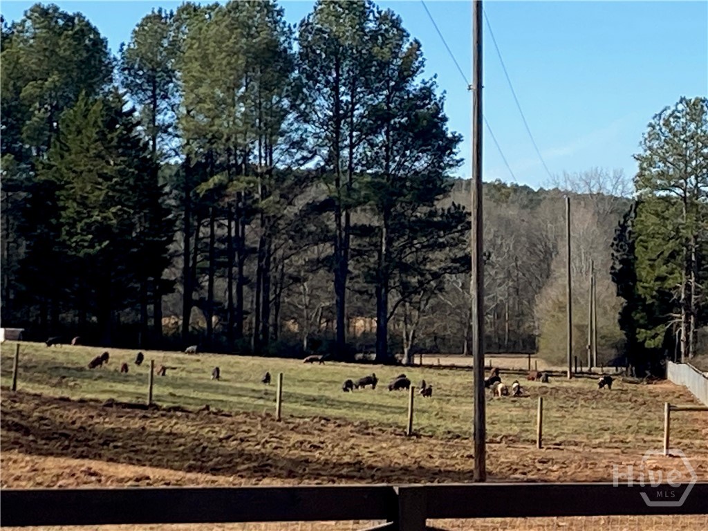 919 Arnold Bottoms Road Comer, GA 30629 - Photo 61 of 62