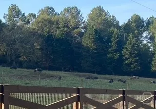 $1,600,000 | 919 Arnold Bottoms Road, Comer, GA 30629