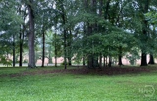 919 Arnold Bottoms Road Comer, GA 30629 - Photo 10 of 62