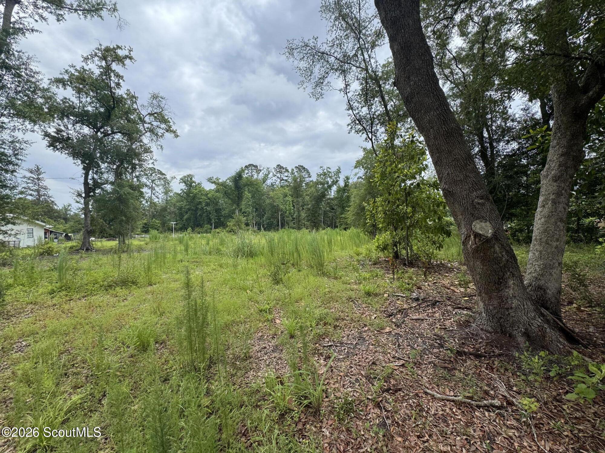 0 Scrabble Road Blackshear, GA 31516 - Photo 6 of 6