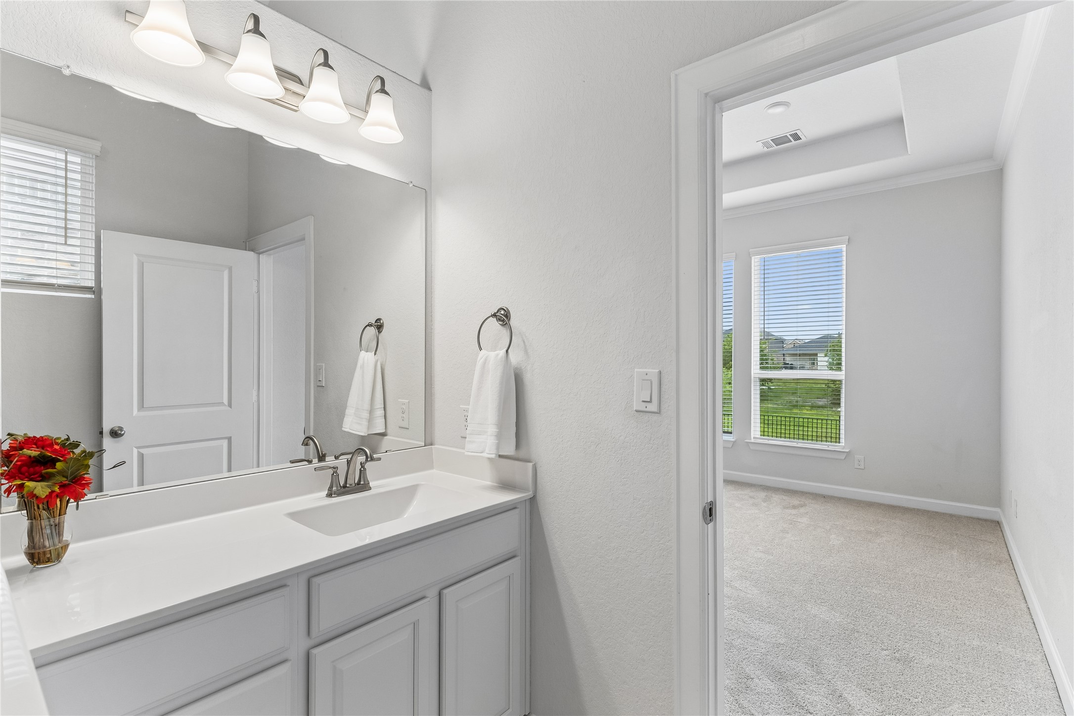 298 Wild Pecan Loop Buda, TX 78610 - Photo 23 of 40 a bathroom with a sink vanity and a mirror