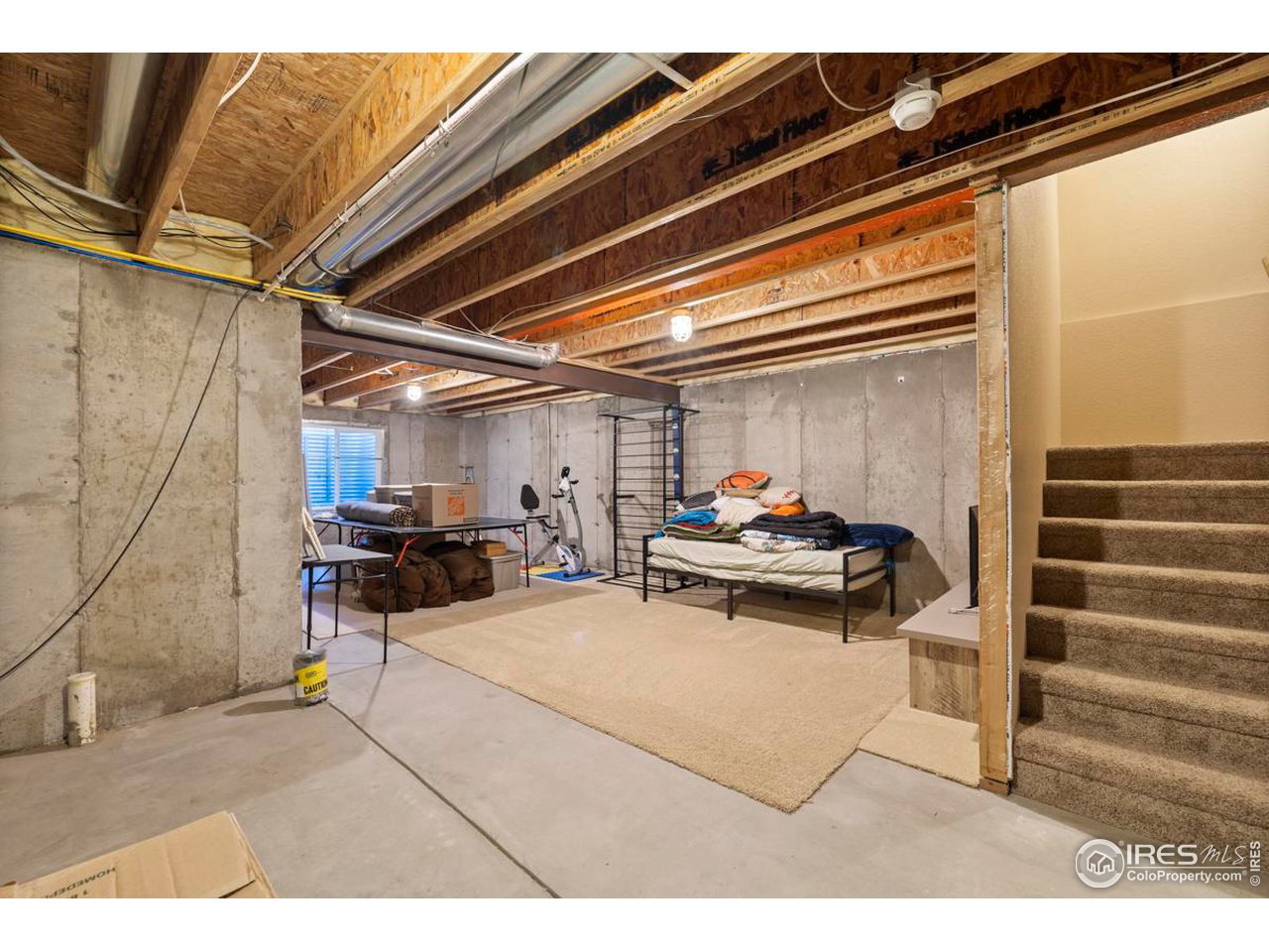 115 Bayside Circle Windsor, CO 80550 - Photo 20 of 23 a living room with furniture a rug and white walls