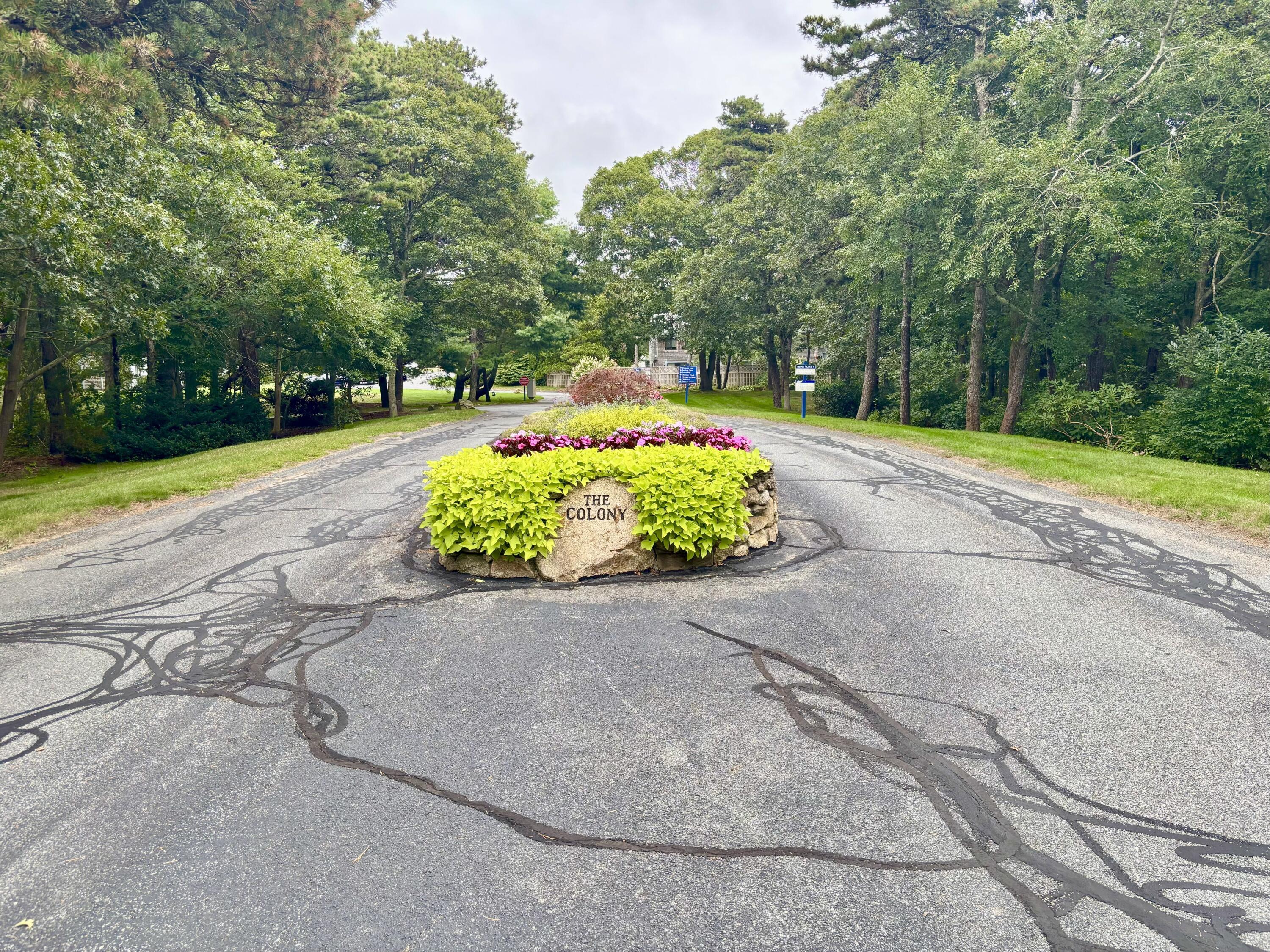 46 Court Way Brewster, MA 02631 - Photo 20 of 33 IMG_E0978