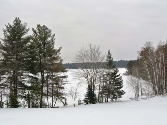 5440 Pine Lake Road Rhinelander, WI 54501 - Photo 4 of 20 Gallery Image 4