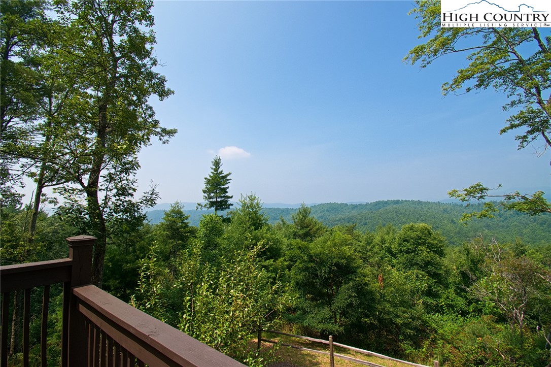 4879 Staghorn Road Purlear, NC 28665 - Photo 11 of 50 a view of a yard with plants and wooden fence