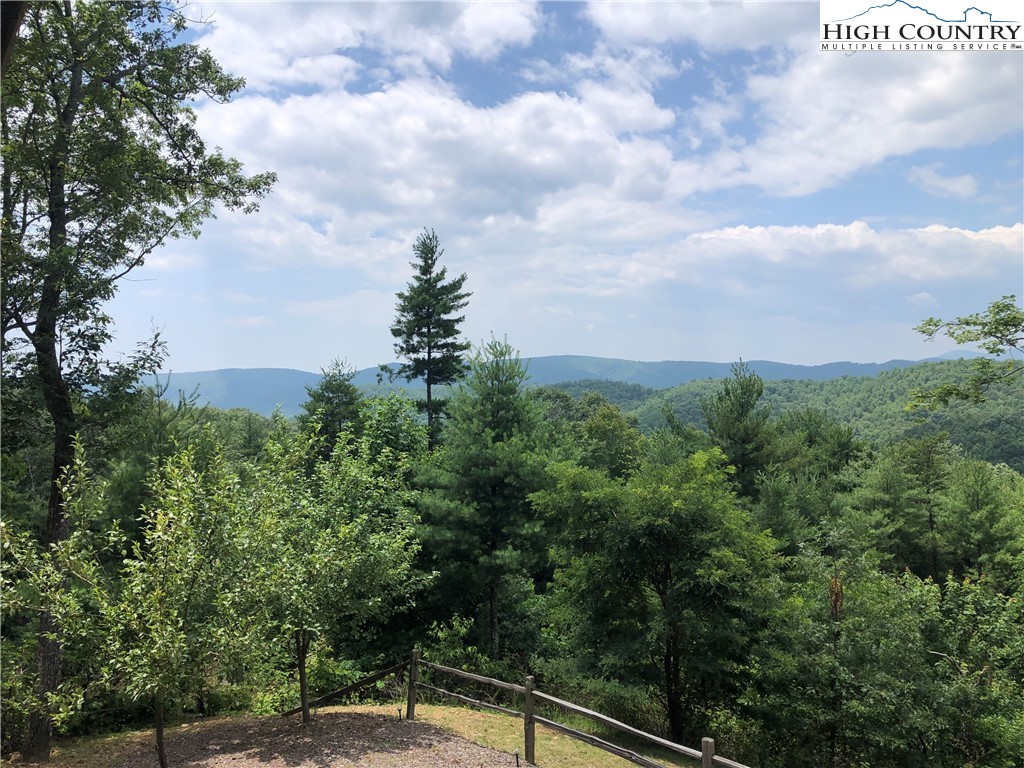 4879 Staghorn Road Purlear, NC 28665 - Photo 12 of 50 a view of a yard