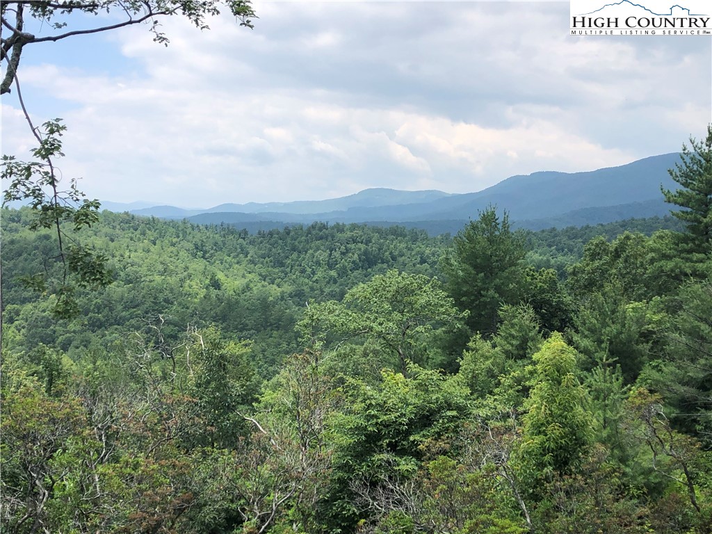 4879 Staghorn Road Purlear, NC 28665 - Photo 2 of 50 a view of a city with lush green forest