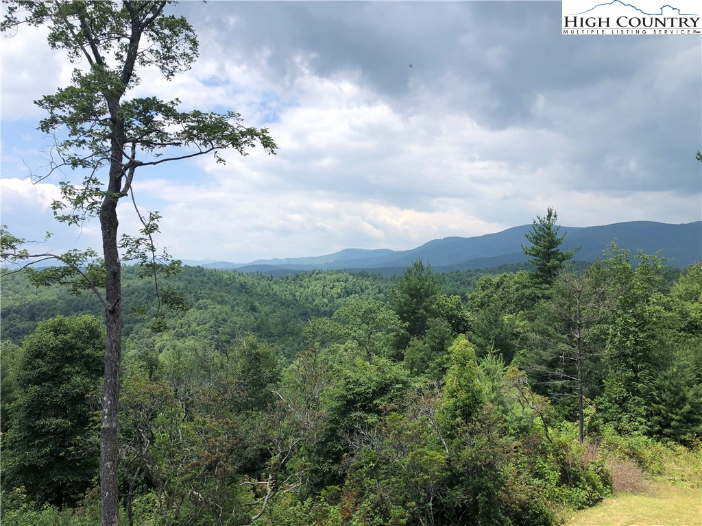 4879 Staghorn Road Purlear, NC 28665 - Photo 38 of 50 a view of a city with flower in a garden