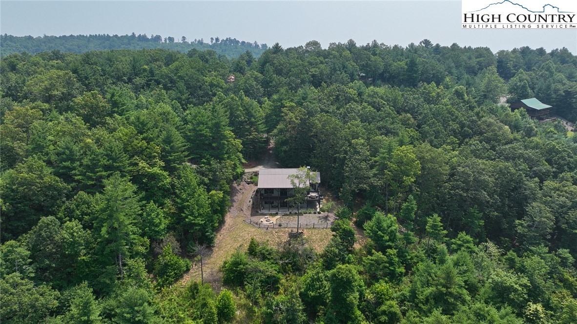 4879 Staghorn Road Purlear, NC 28665 - Photo 44 of 50 an aerial view of a house with a yard