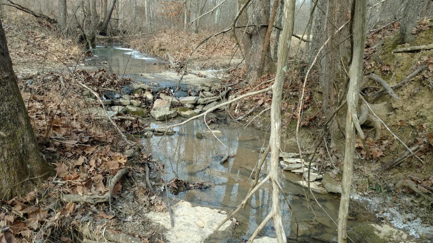 11872 Perryville Road Perryville, KY 40468 - Photo 21 of 33 Photo 22
