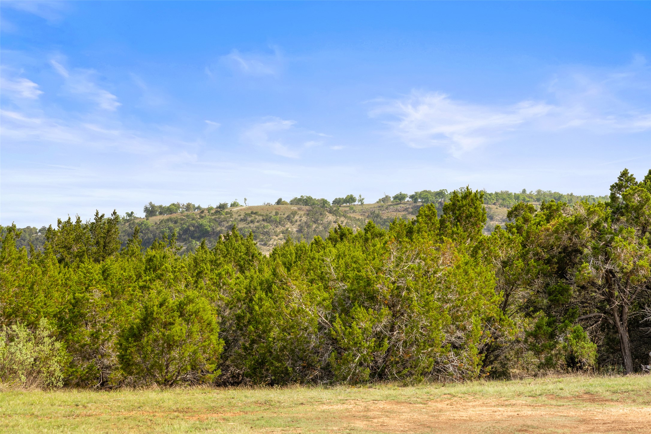 2966 Rm 165 Dripping Springs Dripping Springs, TX 78620 - Photo 11 of 23 Expansive natural landscape featuring lush green trees