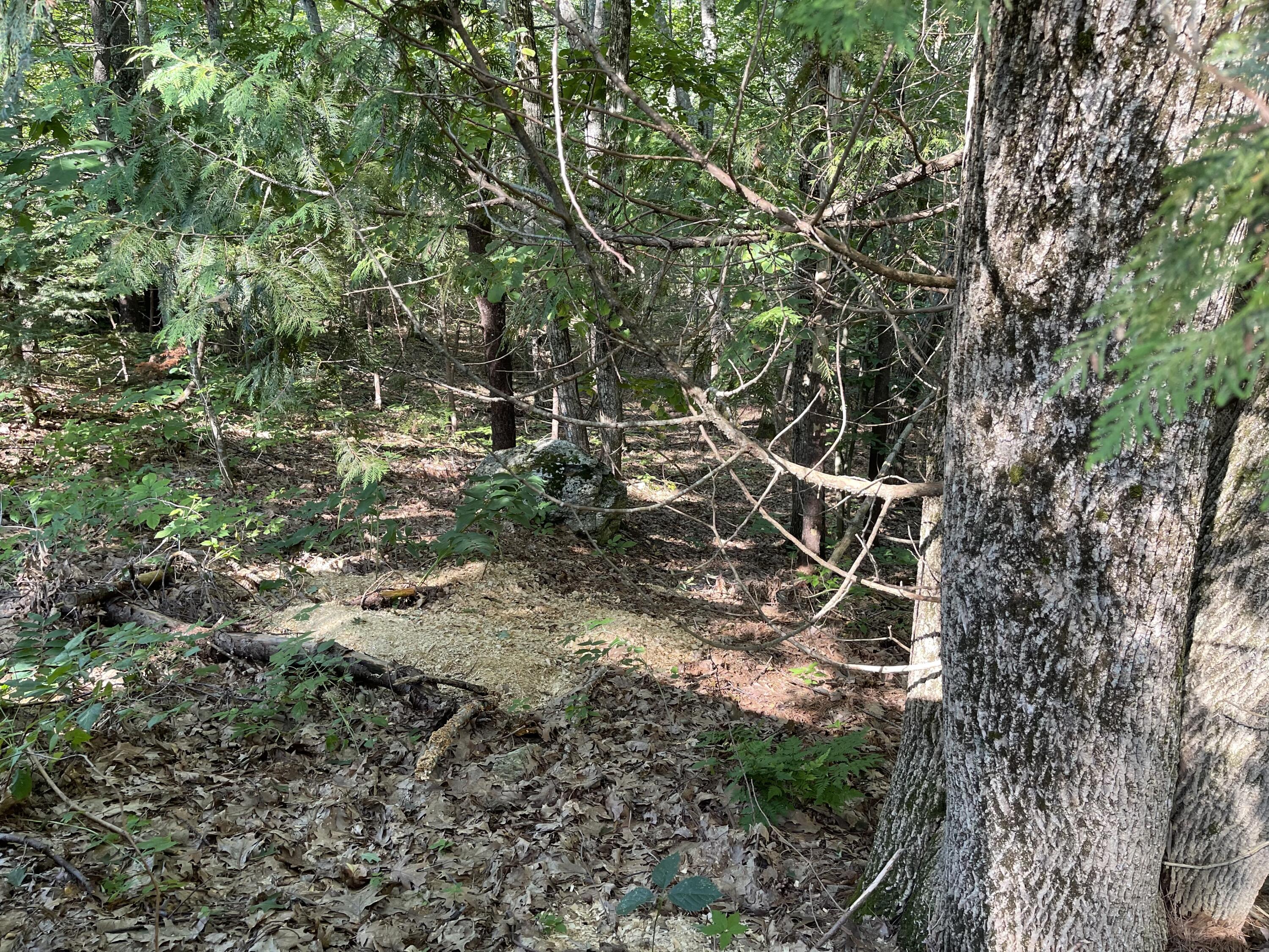 135 Wildes Road Bowdoinham, ME 04008 - Photo 16 of 29 IMG-1463