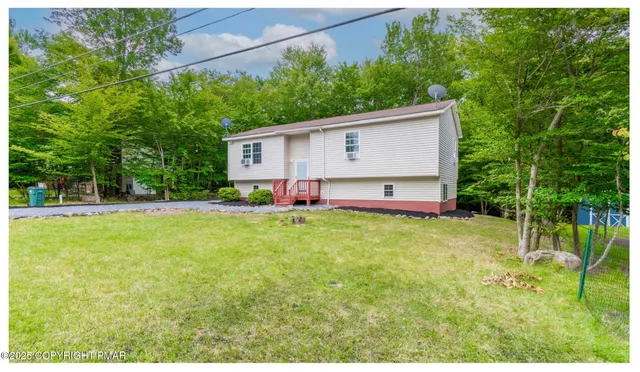 a view of backyard with large trees and plants