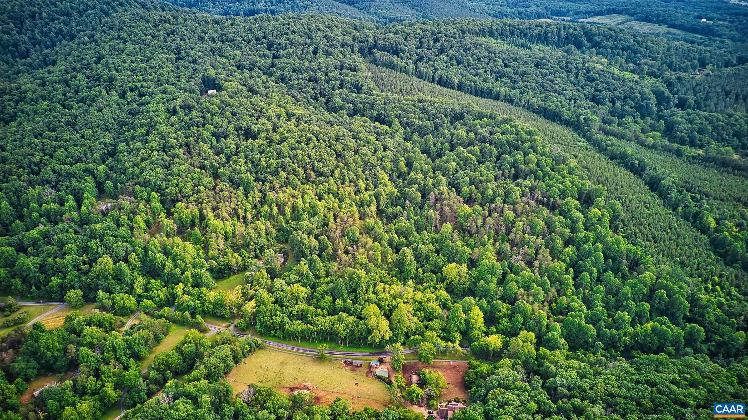 Tbd Turkey Sag Road Keswick, VA 22947 - Photo 3 of 8 a view of a lush green forest with a lake