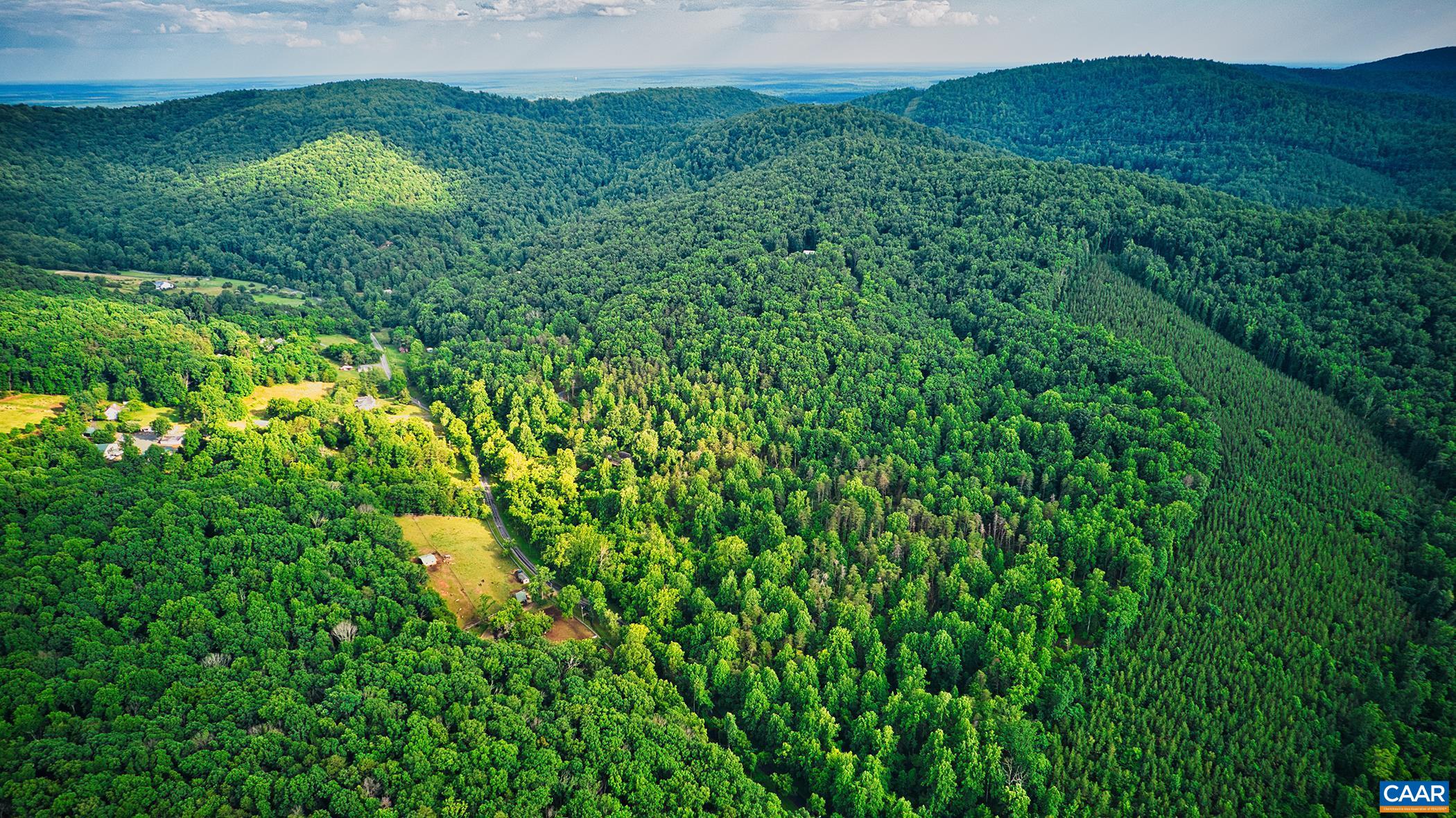 Tbd Turkey Sag Road Keswick, VA 22947 - Photo 5 of 8 a view of a lush green forest with trees in the background