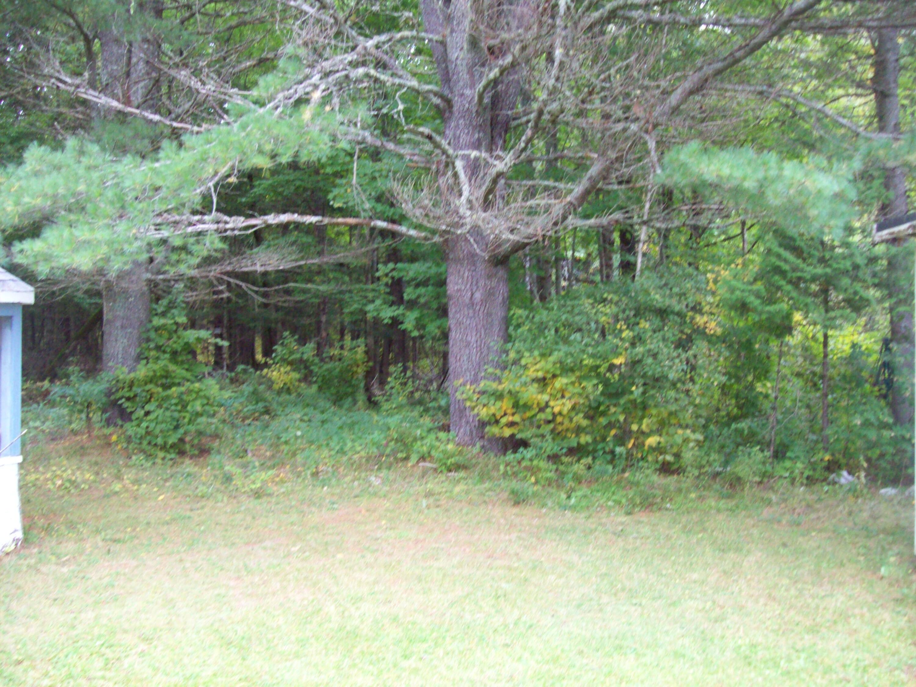 291 Park Street Springfield, ME 04487 - Photo 10 of 19 100_3112