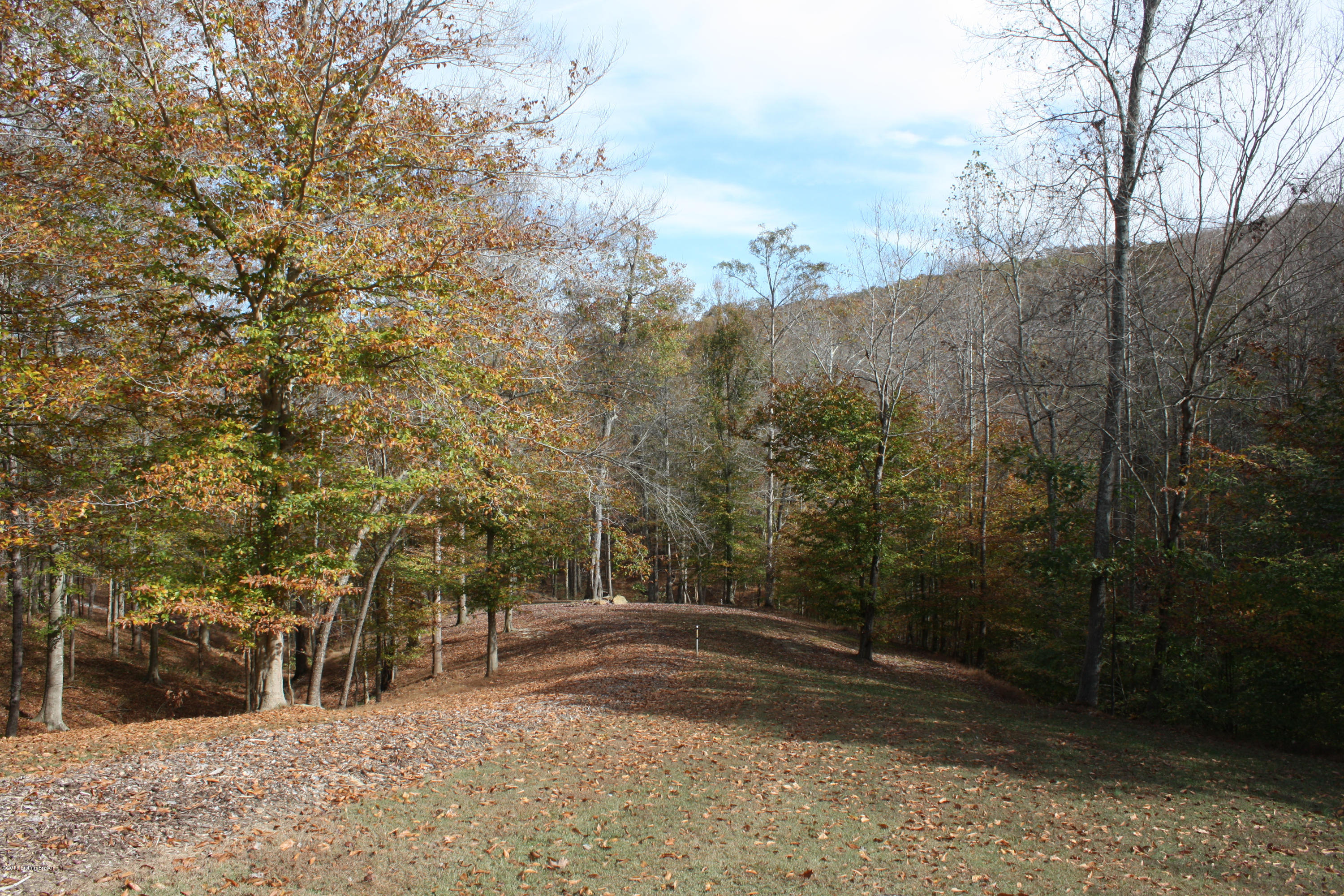 2 Mayflower Road Leitchfield, KY 42754 - Photo 11 of 16 path 1 1