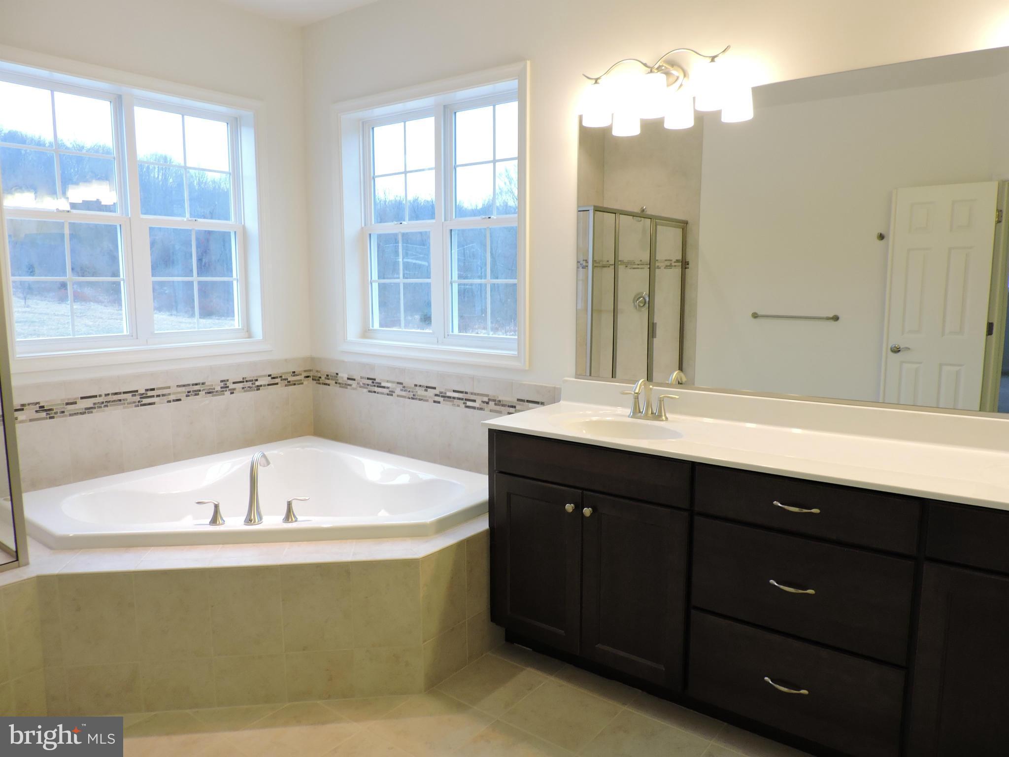 8410 Edgewood Church Road Frederick, MD 21702 - Photo 13 of 17 Bath (Master)