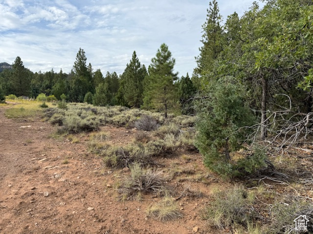 Crest Court Alton, UT 84710 - Photo 5 of 17 View of nature