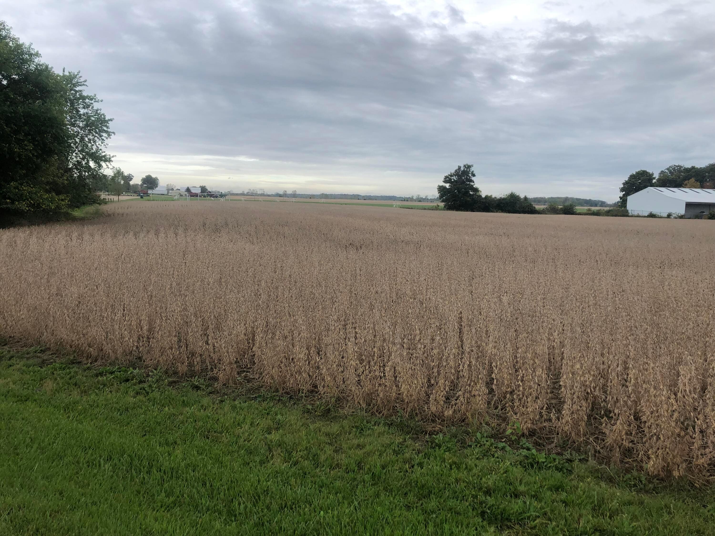 0 State Route 42 Ostrander, OH 43061 - Photo 1 of 2