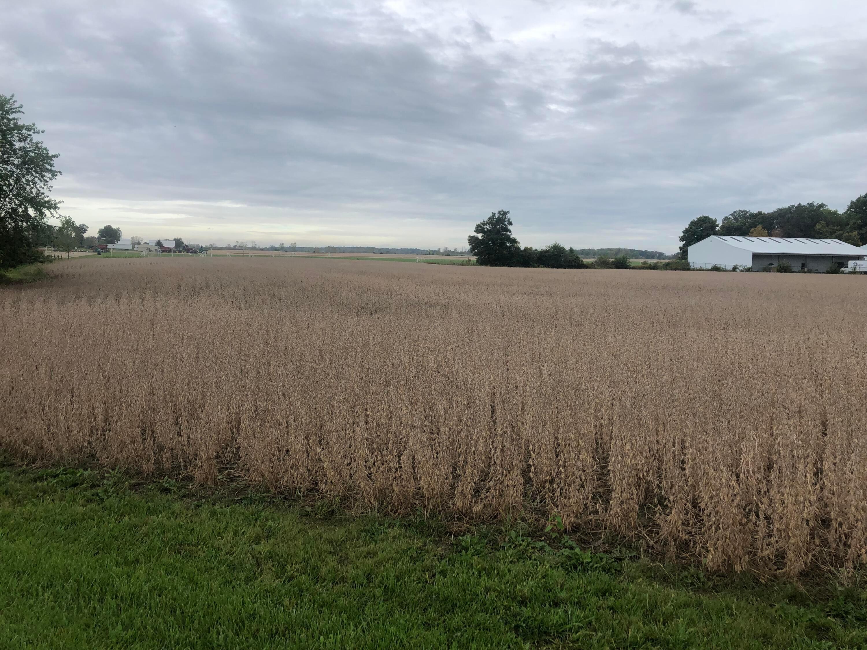 0 State Route 42 Ostrander, OH 43061 - Photo 2 of 2