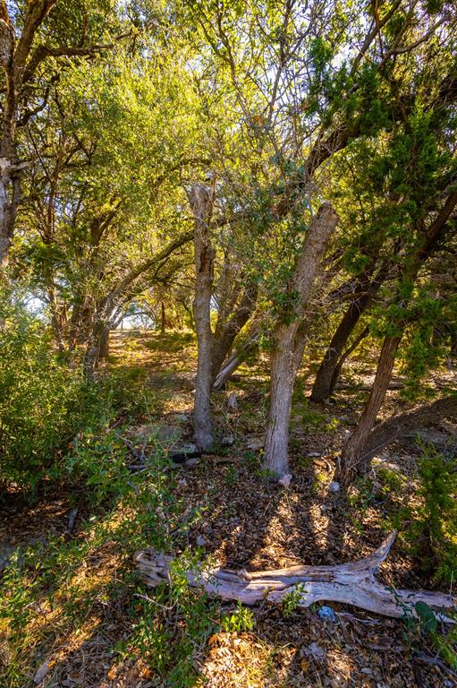 3500 Hog Bend, Unit 88 Graford, TX 76449 - Photo 13 of 26 a yard with large trees