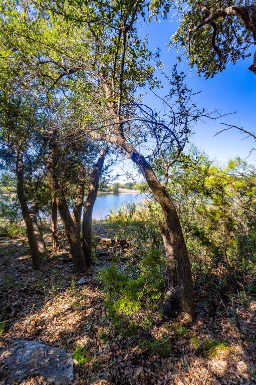 3500 Hog Bend, Unit 88 Graford, TX 76449 - Photo 14 of 26 a view of a yard