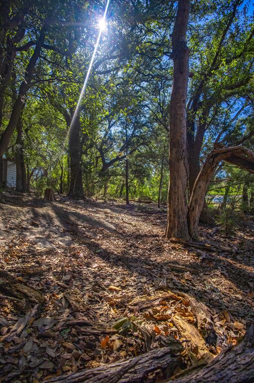 3500 Hog Bend, Unit 88 Graford, TX 76449 - Photo 17 of 26 a view of a tree in the middle of a yard