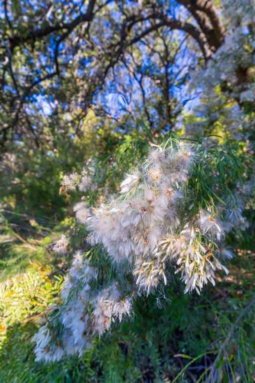 3500 Hog Bend, Unit 88 Graford, TX 76449 - Photo 20 of 26