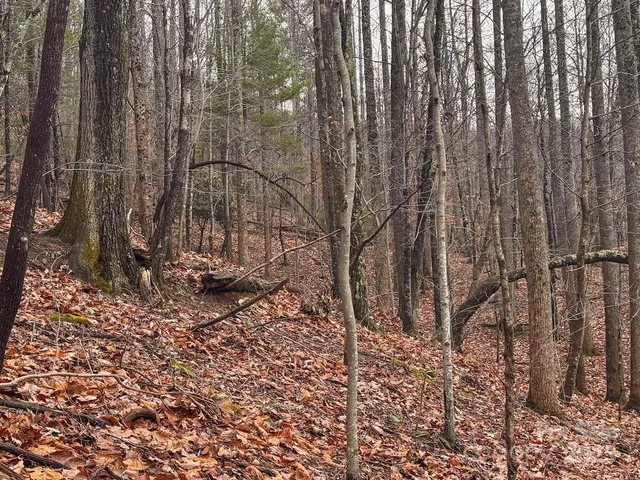 $69,900 | 0 Taylor Drive, Moravian Falls, NC 28654