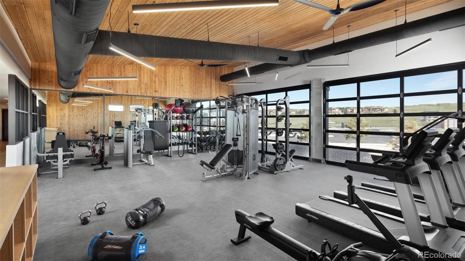 3 Simmental Loop Castle Rock, CO 80104 - Photo 16 of 22 a room with gym equipment and a large window