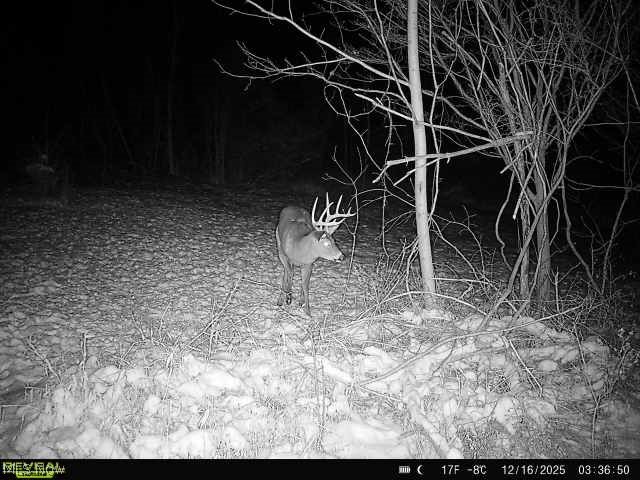 560 Wickens Road Macksburg, OH 45746 - Photo 10 of 43 Gallery Image 10