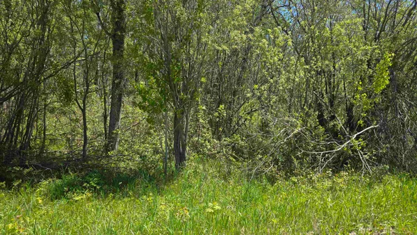 $12,000 | -vl Mill Street, Levering, MI 49755