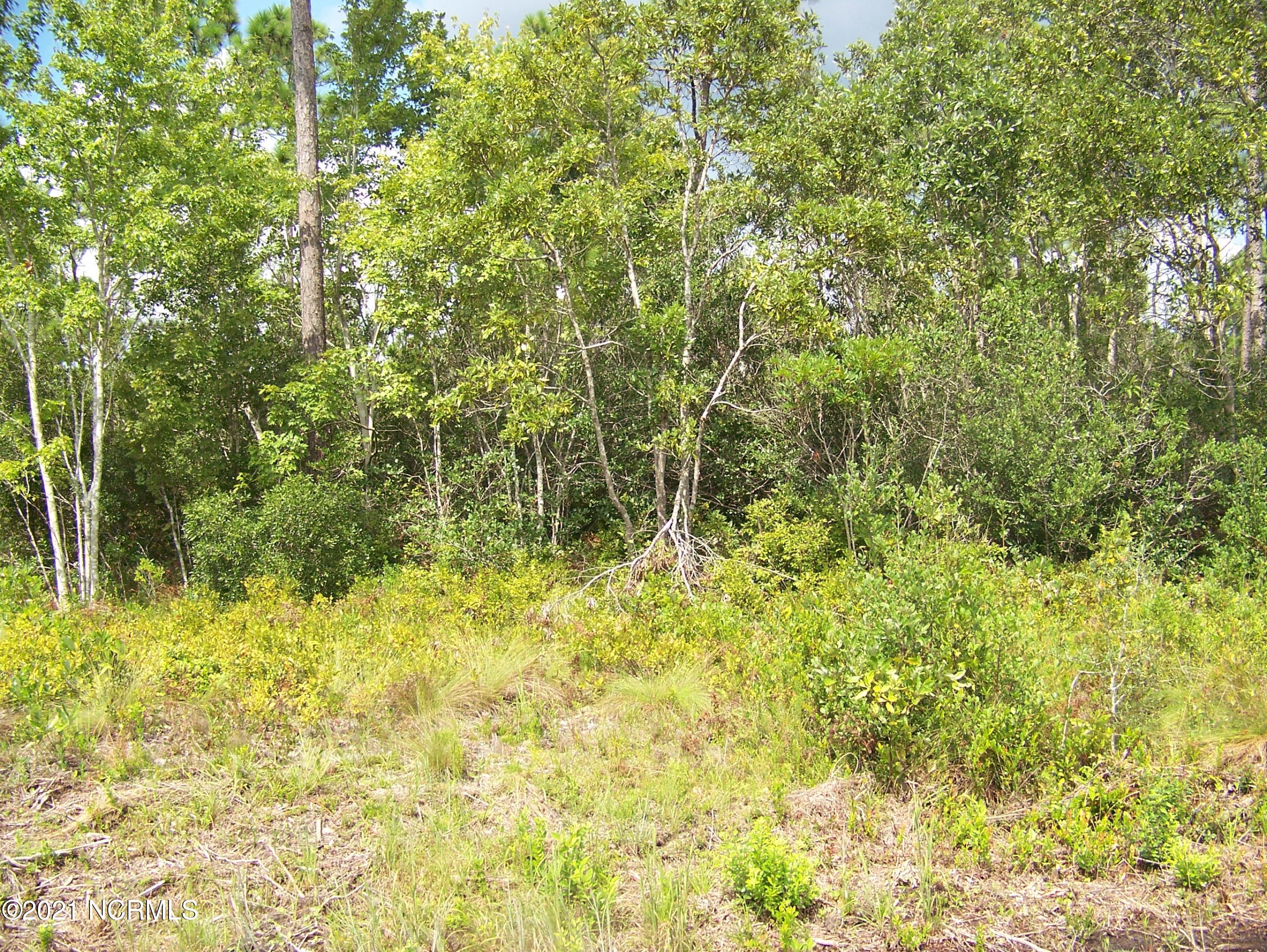 340 Bermuda Road Southport, NC 28461 - Photo 1 of 1 wooded