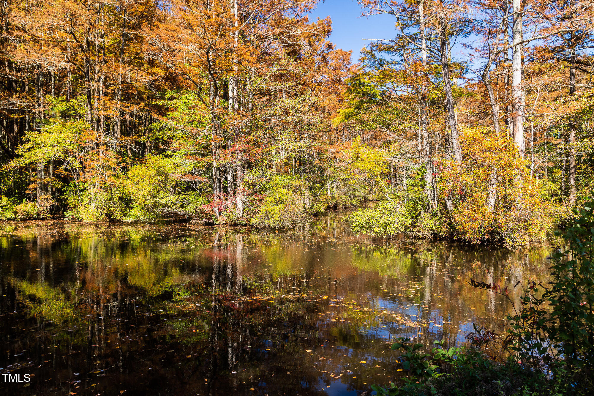408 Carpels Drive Wendell, NC 27591 - Photo 20 of 31 a view of residential houses with swimming pool and outdoor space