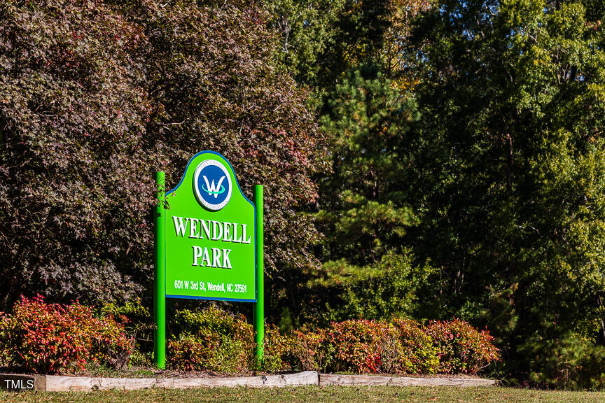 408 Carpels Drive Wendell, NC 27591 - Photo 27 of 31 a green field with trees in the background