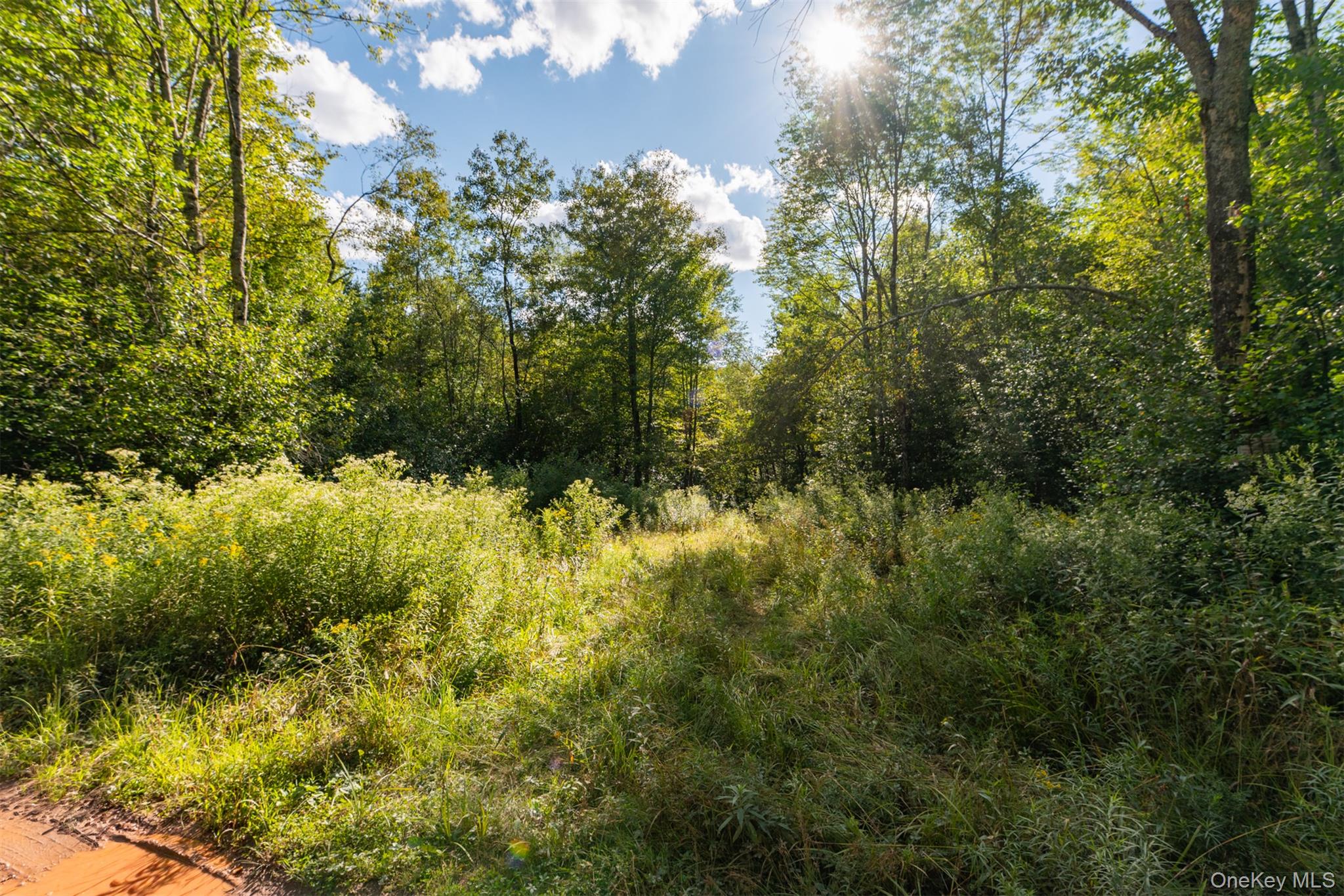 Maccabee Road Roscoe, NY 12776 - Photo 1 of 6 a view of a garden