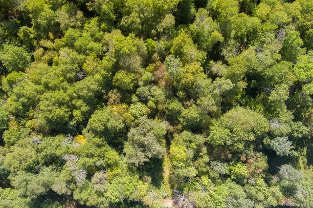 a view of a house with a tree