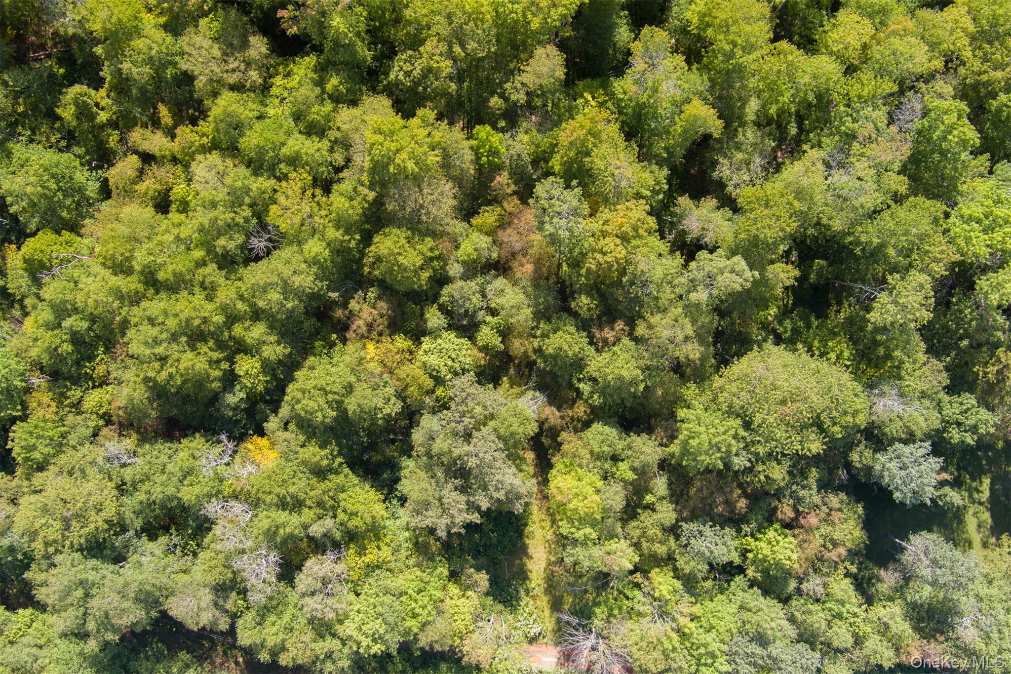 Maccabee Road Roscoe, NY 12776 - Photo 2 of 6 a view of a house with a tree