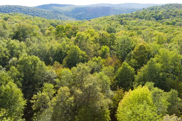 a view of a large yard with lots of trees