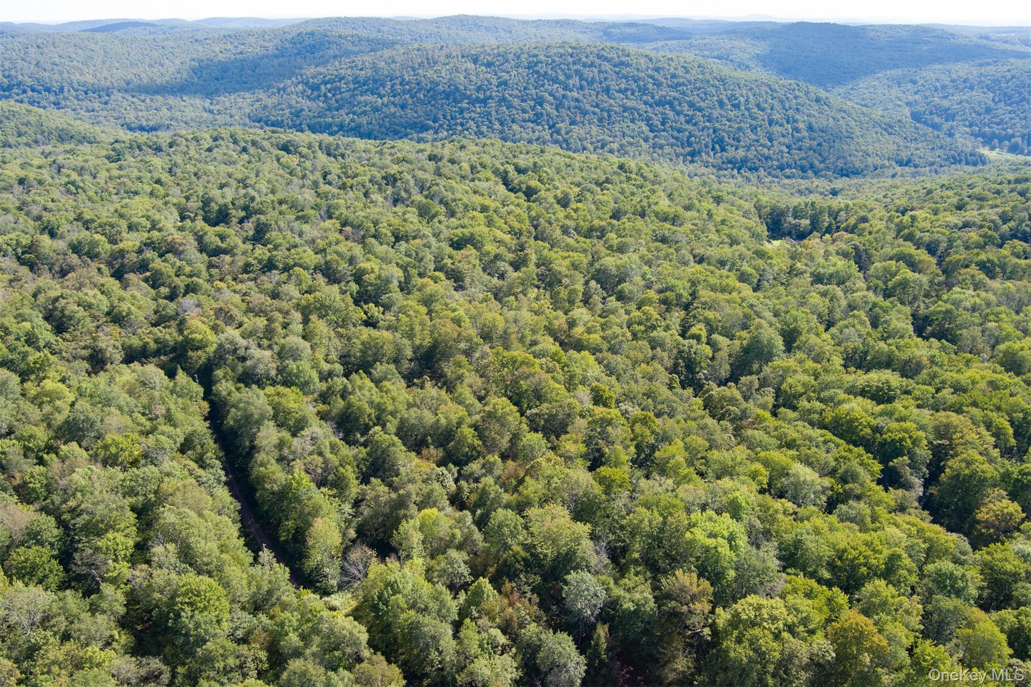 Maccabee Road Roscoe, NY 12776 - Photo 4 of 6 a view of a field