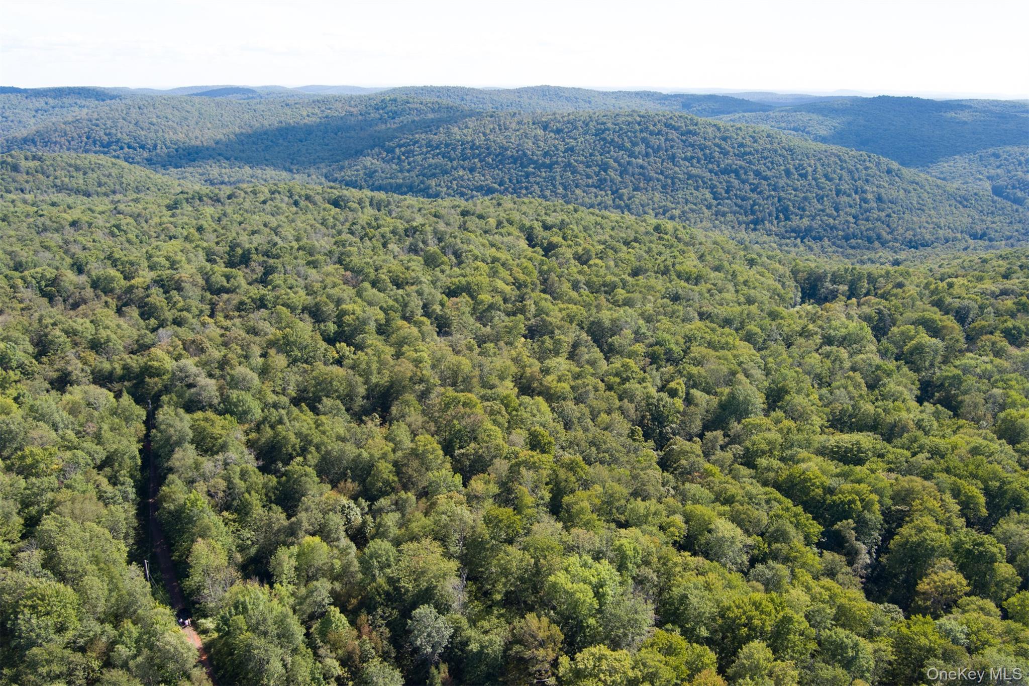 Maccabee Road Roscoe, NY 12776 - Photo 5 of 6 a view of a field with a mountain in the background