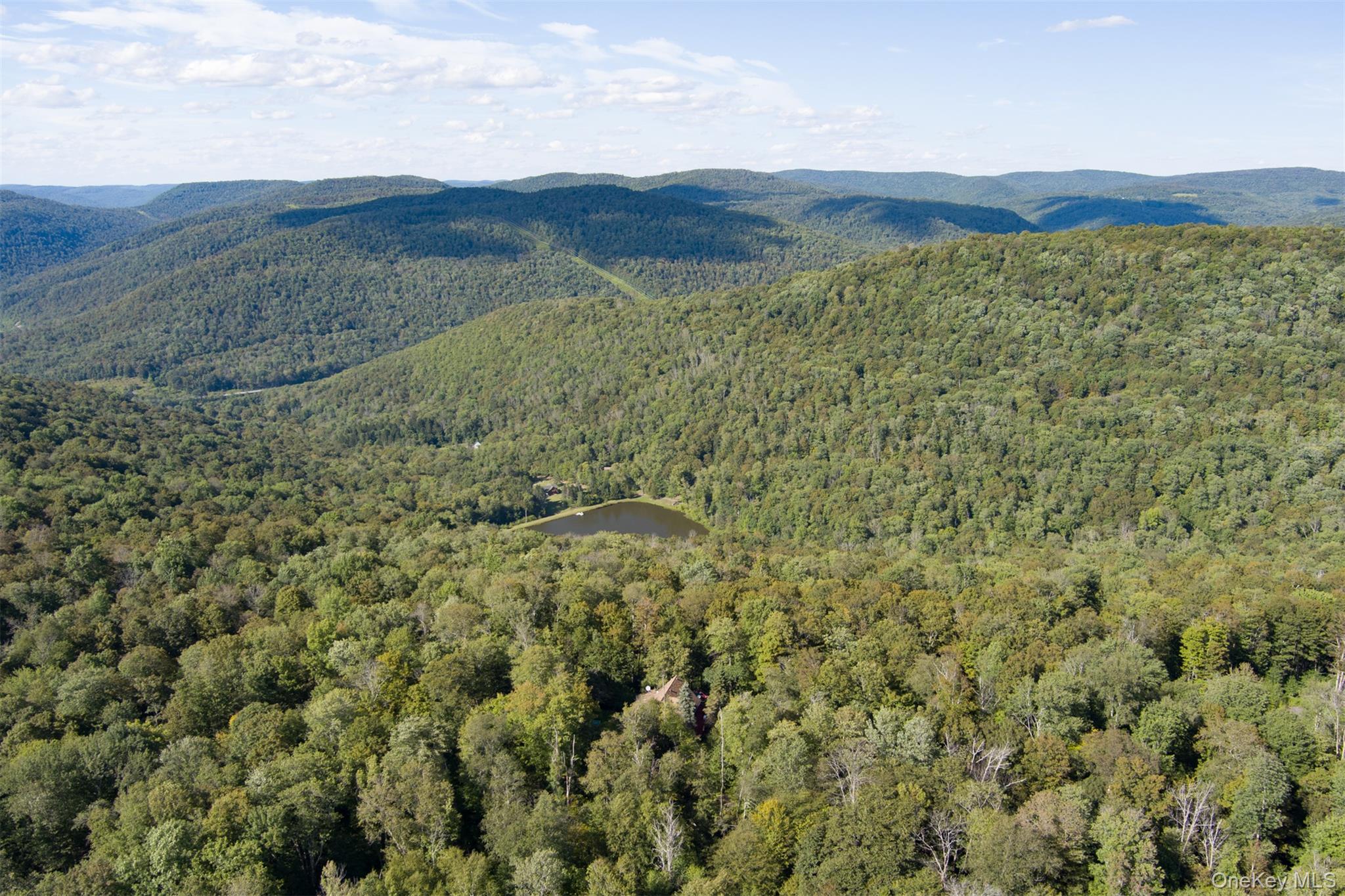 Maccabee Road Roscoe, NY 12776 - Photo 6 of 6 a view of a lush green hillside and a mountain