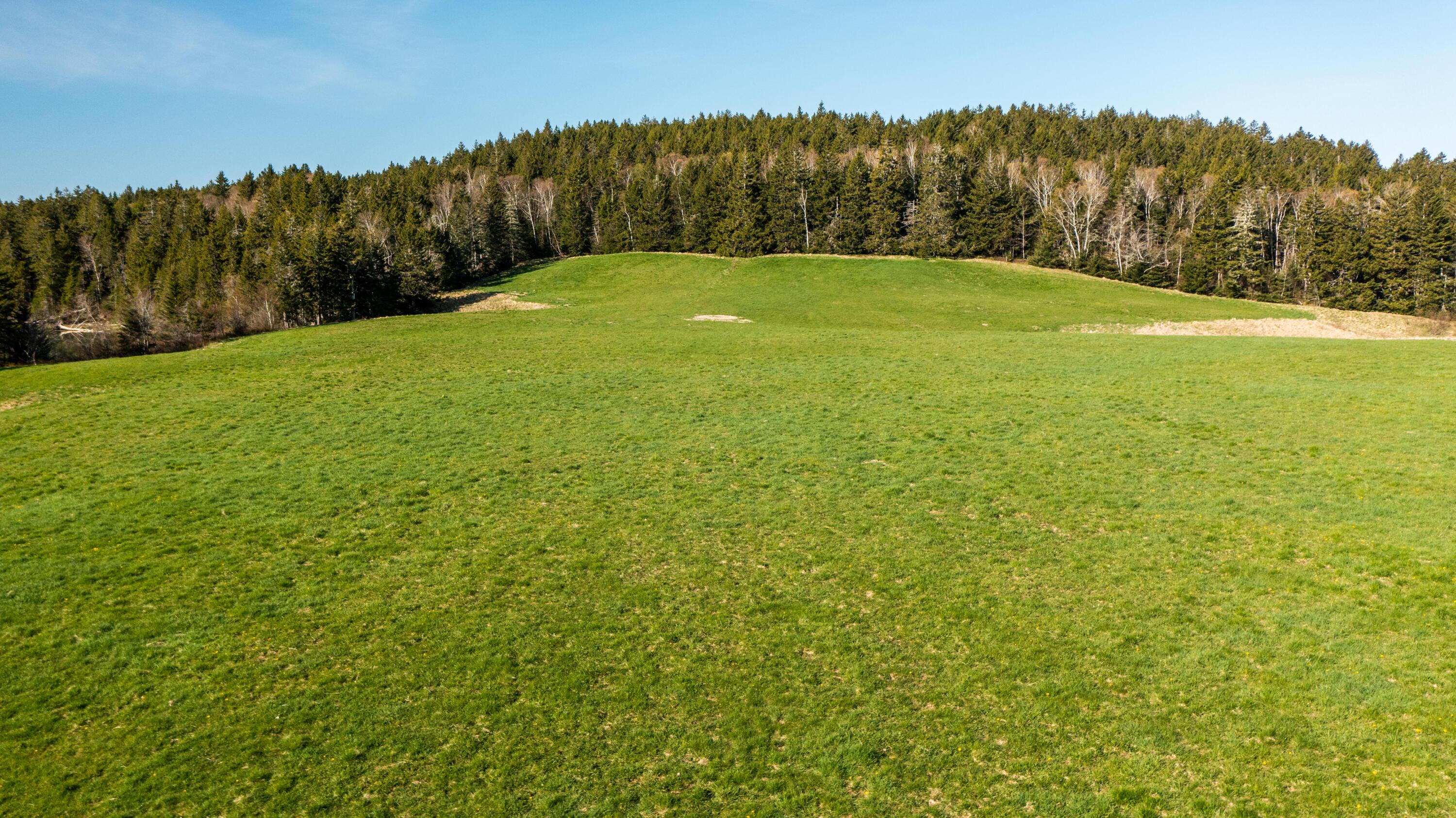 Lot A East Kennebec Road Machias, ME 04654 - Photo 44 of 45 Rogers Timberlee waterfront Pasture Lot